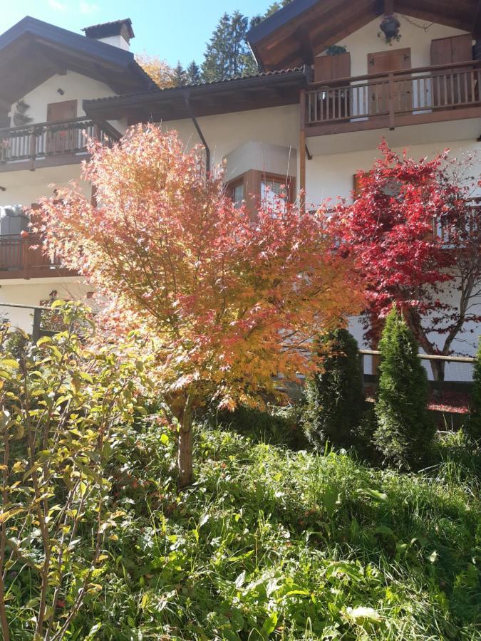 צ'נצ'ניגה Locanda Rondolost מראה חיצוני תמונה